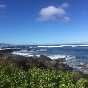 Meet your Posher, Gerrie